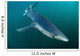 Sleek Blue Shark Swimming Wall Decal Design 13
