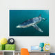 Sleek Blue Shark Swimming Wall Decal Design 12