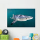 Sleek Blue Shark Swimming Wall Decal Design 11