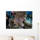 Crown-of-thorns Sea Star Feeds Wall Decal Design 3