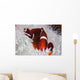 Spine-cheeked Anemonefish Swims among Wall Decal Design 3