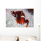 Spine-cheeked Anemonefish Swims among Wall Decal Design 3