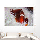 Spine-cheeked Anemonefish Swims among Wall Decal Design 3