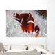 Spine-cheeked Anemonefish Swims among Wall Decal Design 3