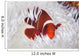 Spine-cheeked Anemonefish Swims among Wall Decal Design 2