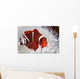 Spine-cheeked Anemonefish Swims among Wall Decal Design 1