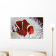 Spine-cheeked Anemonefish Swims among Wall Decal Design 1