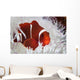 Spine-cheeked Anemonefish Swims among Wall Decal Design 1