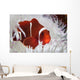 Spine-cheeked Anemonefish Swims among Wall Decal Design 1