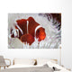 Spine-cheeked Anemonefish Swims among Wall Decal Design 1