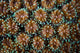 Detail Stony Coral Growing Wall Decal