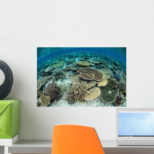 Shallow Coral Reef Thrives Wall Decal Design 16