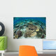 Shallow Coral Reef Thrives Wall Decal Design 16