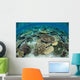 Shallow Coral Reef Thrives Wall Decal Design 16