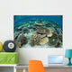 Shallow Coral Reef Thrives Wall Decal Design 16