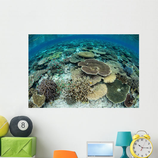 Shallow Coral Reef Thrives Wall Decal Design 16