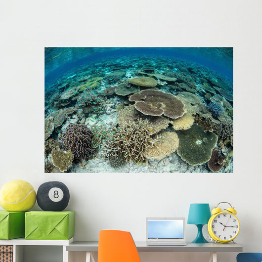 Shallow Coral Reef Thrives Wall Decal Design 16