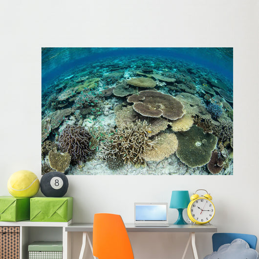 Shallow Coral Reef Thrives Wall Decal Design 16