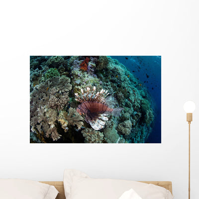 Lionfish Swims along Edge Wall Decal Design 3 shown on a wall