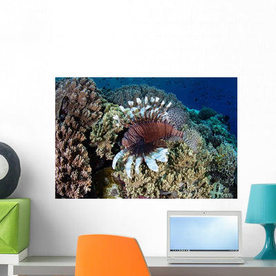 Lionfish Swims along Edge Wall Decal Design 2 shown on a wall