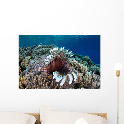 Lionfish Swims along Edge Wall Decal Design 1 shown on a wall