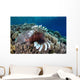 Lionfish Swims along Edge Wall Decal Design 1