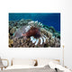 Lionfish Swims along Edge Wall Decal Design 1