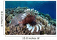 Lionfish Swims along Edge Wall Decal Design 1