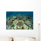Shallow Coral Reef Thrives Wall Decal Design 15