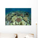 Shallow Coral Reef Thrives Wall Decal Design 15