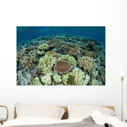 Shallow Coral Reef Thrives Wall Decal Design 15