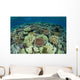 Shallow Coral Reef Thrives Wall Decal Design 15