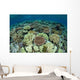 Shallow Coral Reef Thrives Wall Decal Design 15