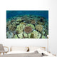 Shallow Coral Reef Thrives Wall Decal Design 15
