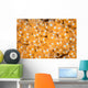 Colony Tunicates Grow Reef Wall Decal