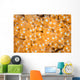 Colony Tunicates Grow Reef Wall Decal