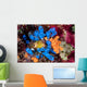 Colorful Tunicates and Soft Wall Decal