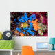 Colorful Tunicates and Soft Wall Decal