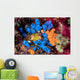 Colorful Tunicates and Soft Wall Decal