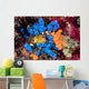 Colorful Tunicates and Soft Wall Decal