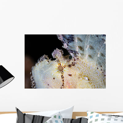 Leaf Scorpionfish Waiting for Wall Decal shown on a wall