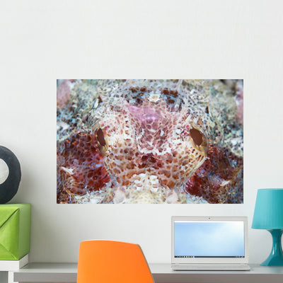 Detail Eyes Scorpionfish Wall Decal shown on a wall