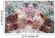 Detail Eyes Scorpionfish Wall Decal