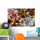 Detail Colorful Dorsal Fin Wall Decal