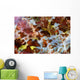 Detail Colorful Dorsal Fin Wall Decal
