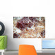 Detail Scales Scorpionfish Wall Decal