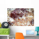 Detail Scales Scorpionfish Wall Decal