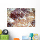 Detail Scales Scorpionfish Wall Decal