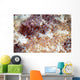 Detail Scales Scorpionfish Wall Decal