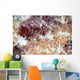 Detail Scales Scorpionfish Wall Decal